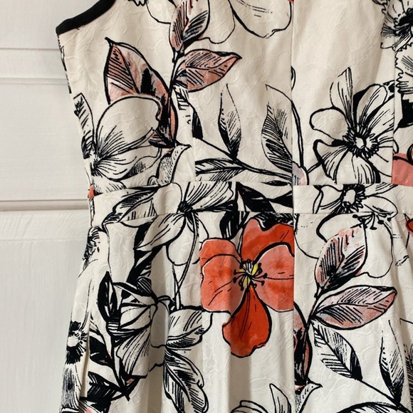 Adrianna Papell Jaquard Fit & Flare A-Line Dress Floral Print Classic White - Picture 10 of 13